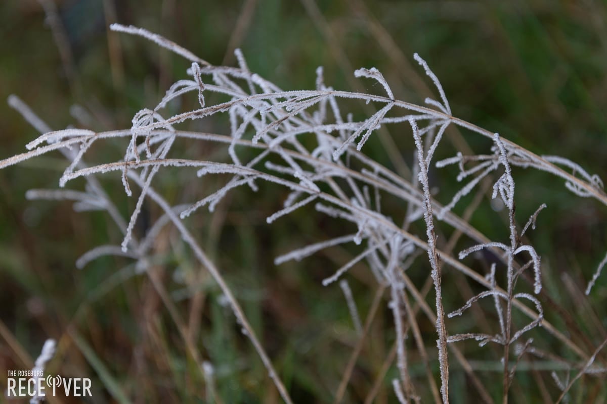 Possible Chance of Snow This Upcoming Weekend and Early Next Week in the Umpqua Valley