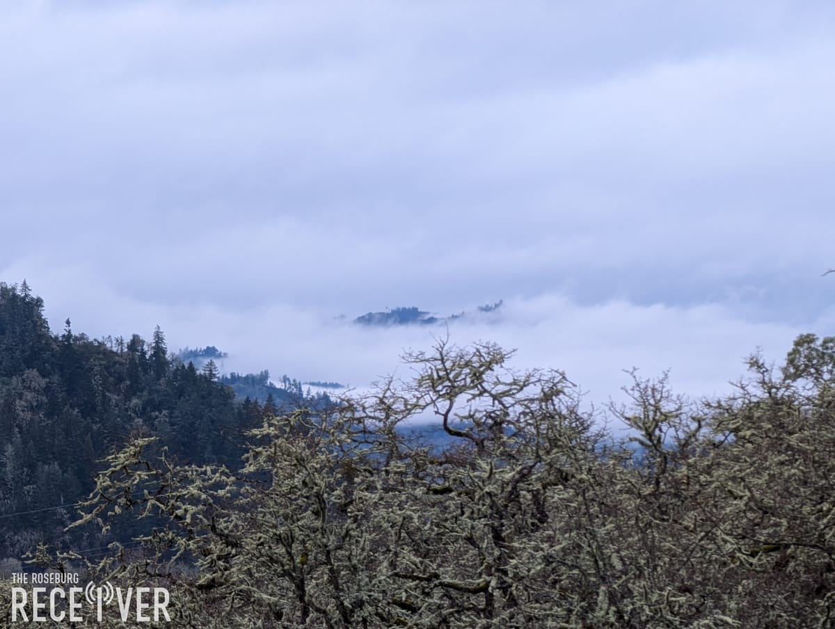 Roseburg Enjoys Warmest Day of 2025 So Far