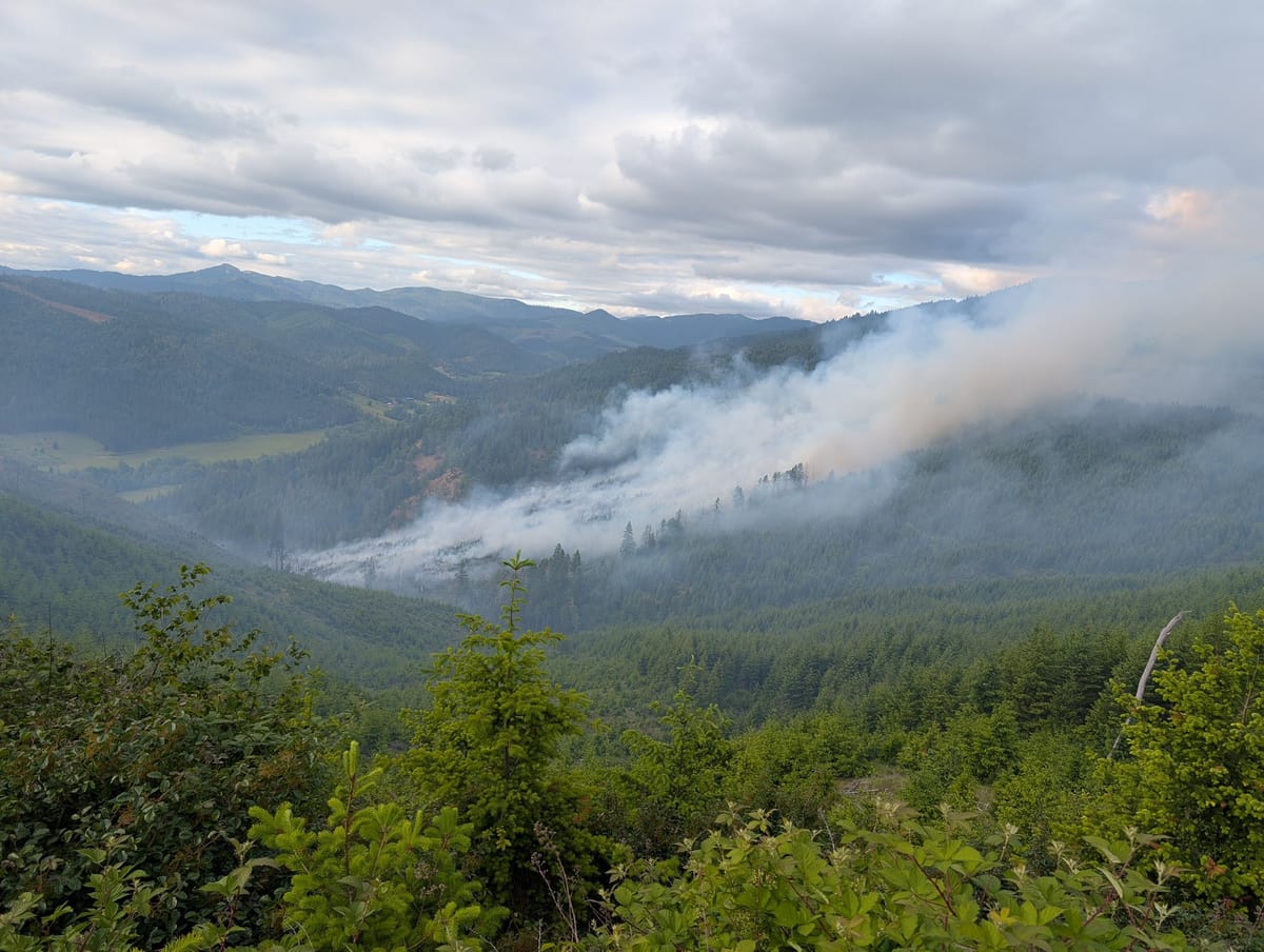 DFPA Responds to 45-Acre Doe Hollow Fire Near Days Creek