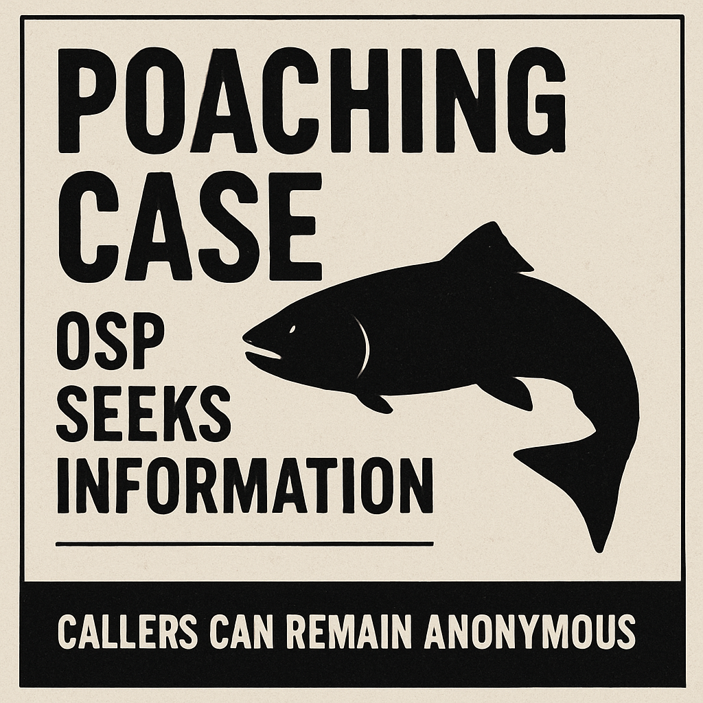 OSP Seeks Public's Help in Steelhead Poaching Case on North Umpqua River
