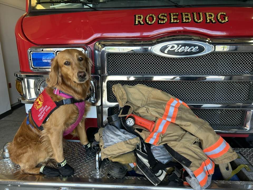 Roseburg Fire Department Introduces Therapy Dog to Support First Responders
