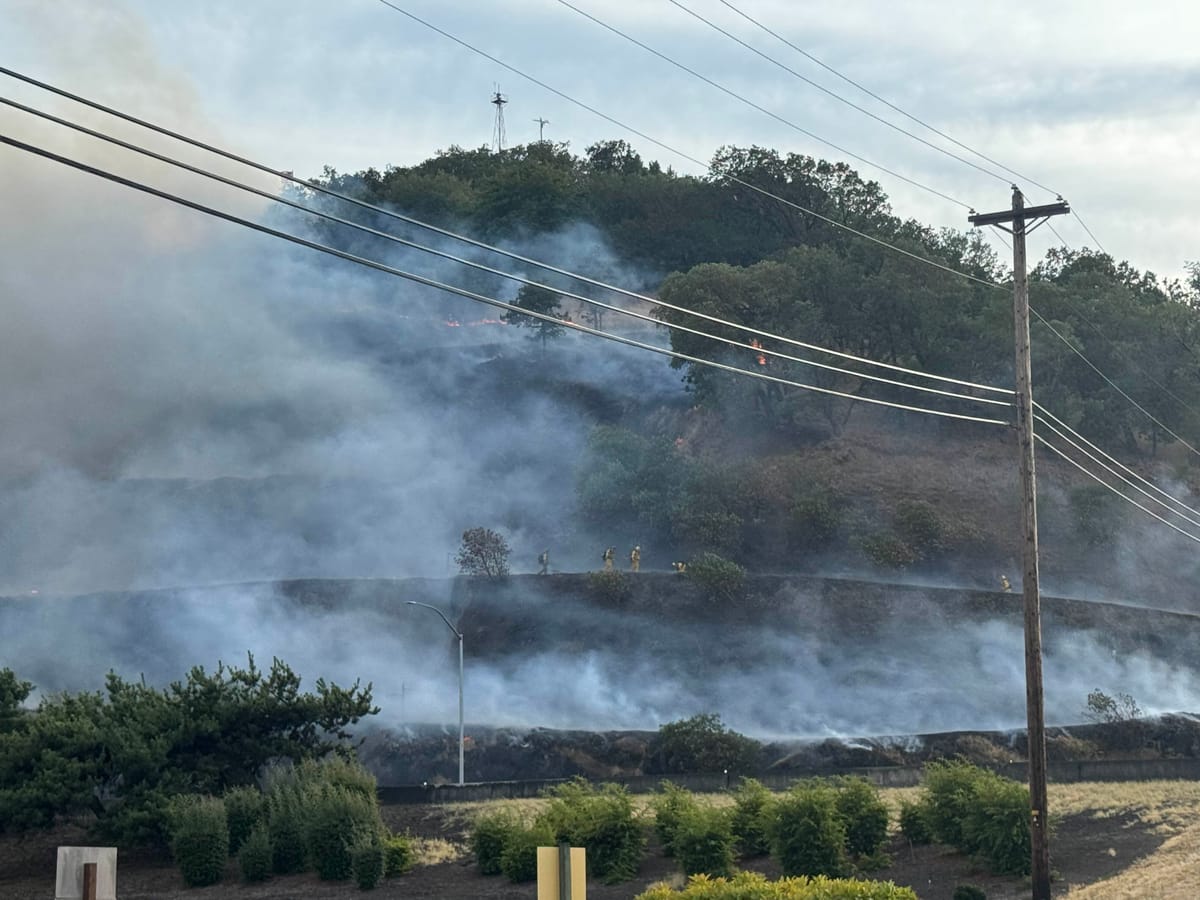 Mt. Nebo Wildland Fire Scorches Four Acres; Drone Use Grounds Aerial Response