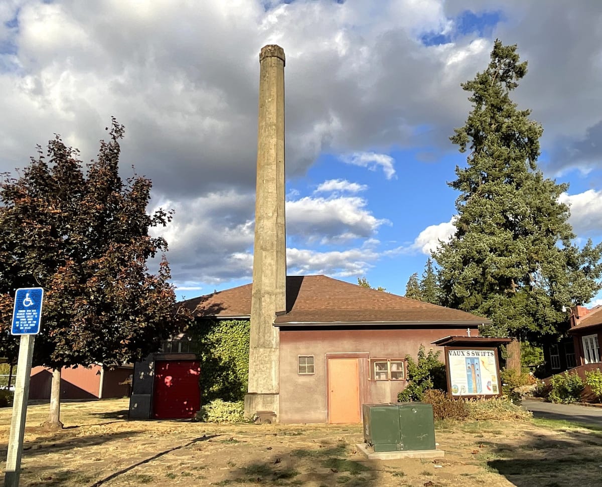 Migrating Vaux’s Swifts Return to Roseburg; “Swift Watch” Back On