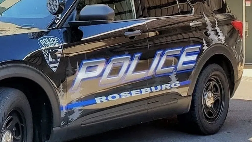 Deputy’s Patrol Vehicle Struck During Late-Night Stop Attempt Near Riddle, Court Records Say