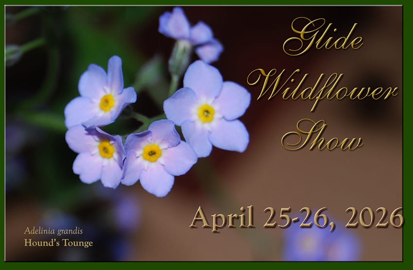 Glide Wildflower Show Returns April 25-26 With Native Plant Displays, Guided Walks and More