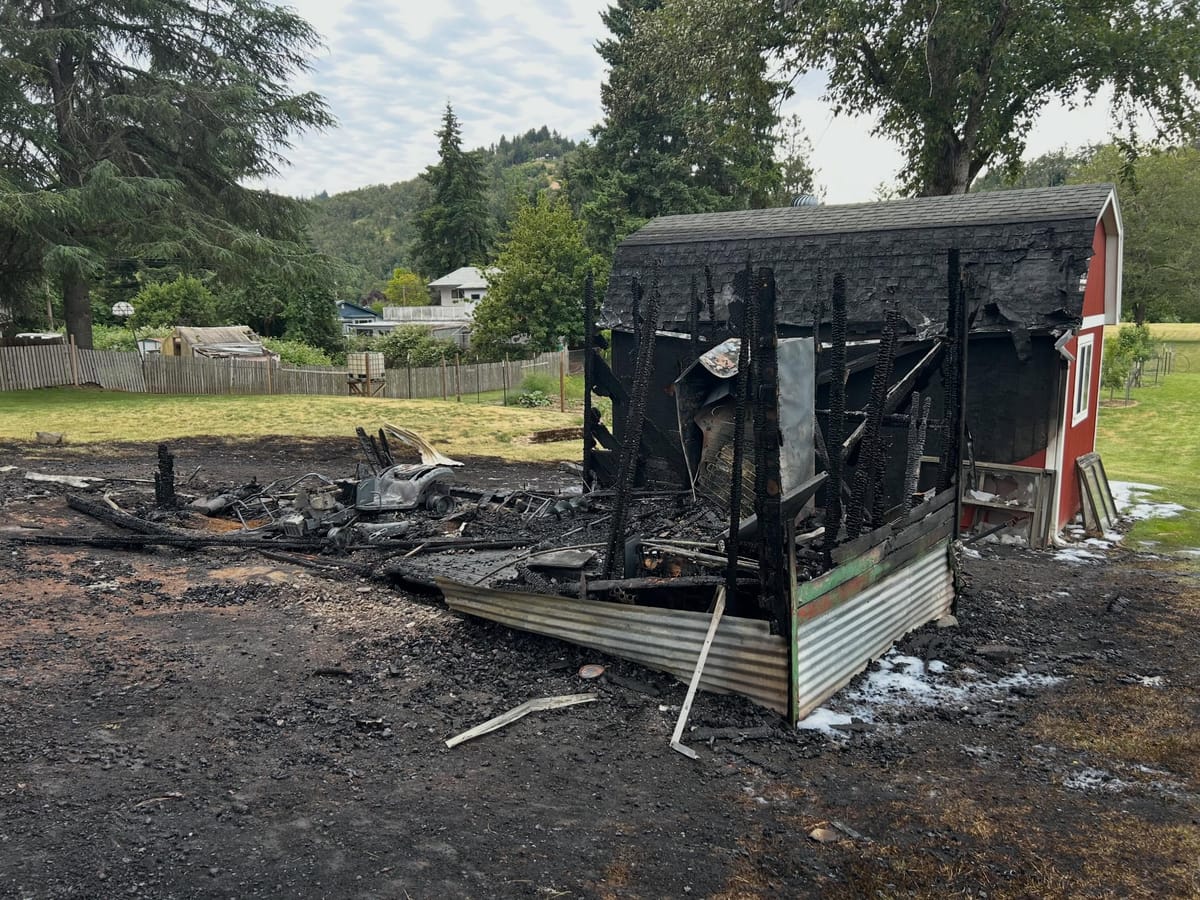 Crews Knock Down Harlan Street Shed Fire After Flames Spread To Nearby Tree