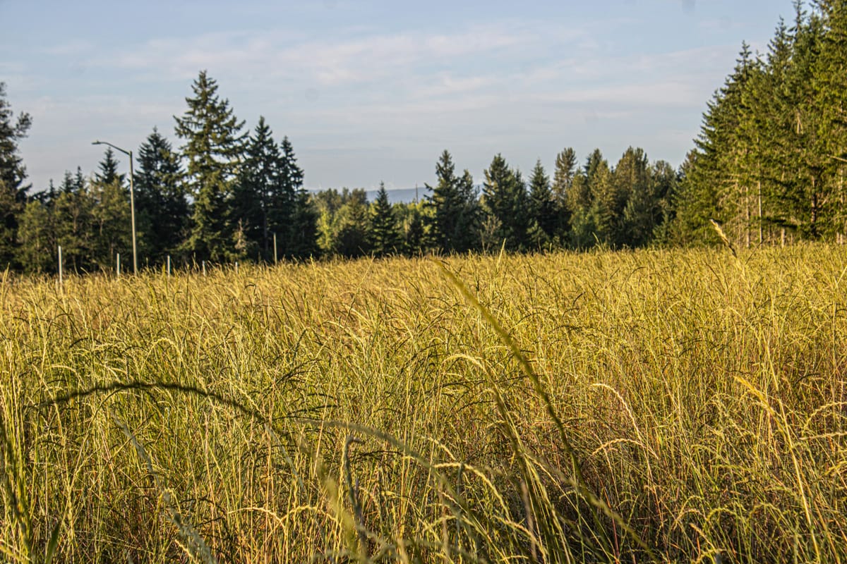 Warm, Dry Week Ahead For Roseburg As High Pressure Builds Over Southern Oregon