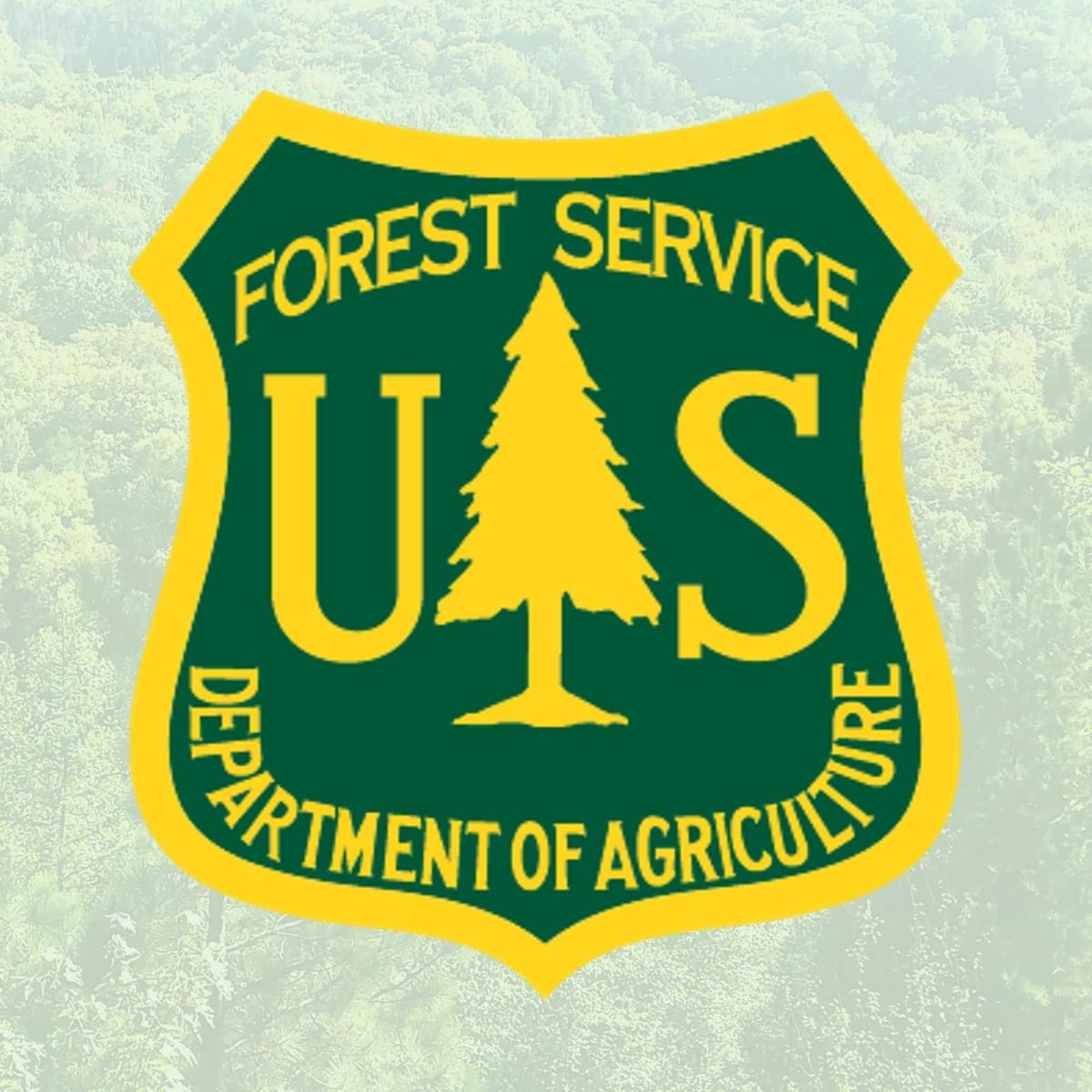 Diamond Lake Campground Opens For Season, New Scan And Pay Rules In Place
