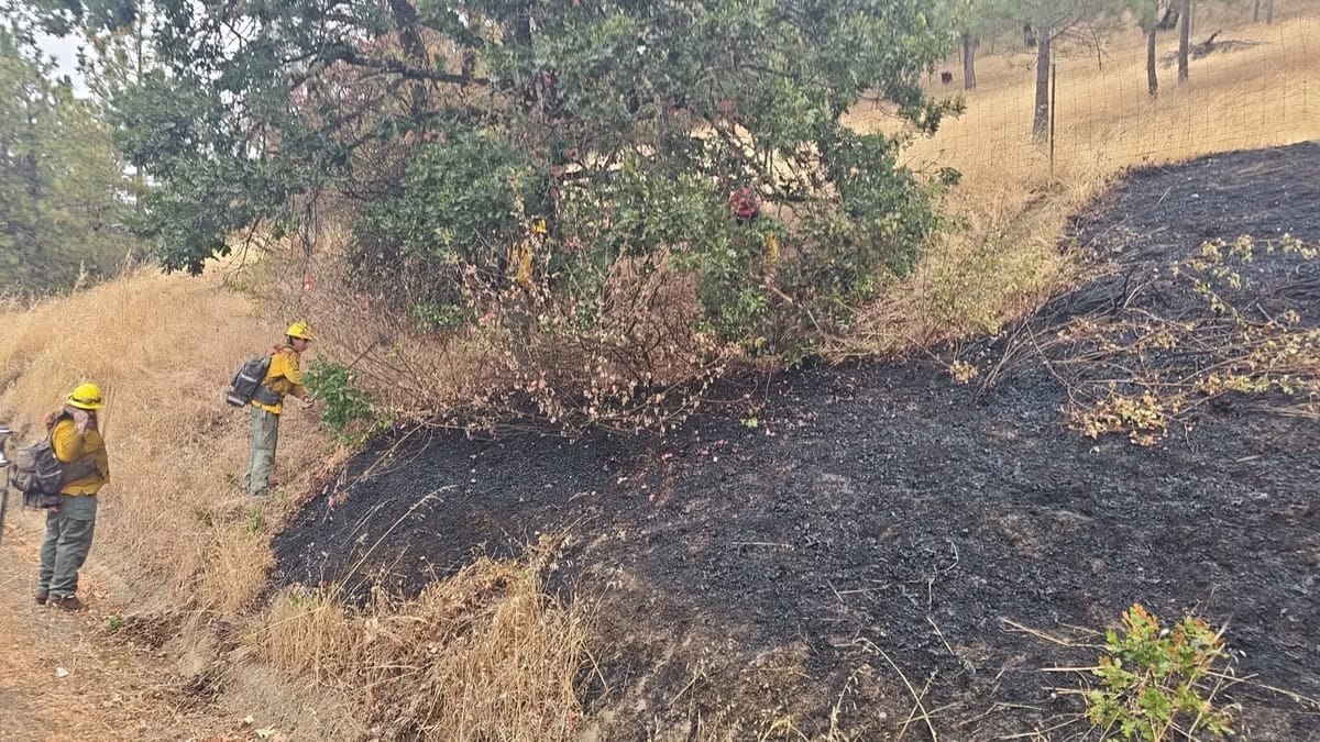 Five Small Vegetation Fires Quickly Contained Near Riddle