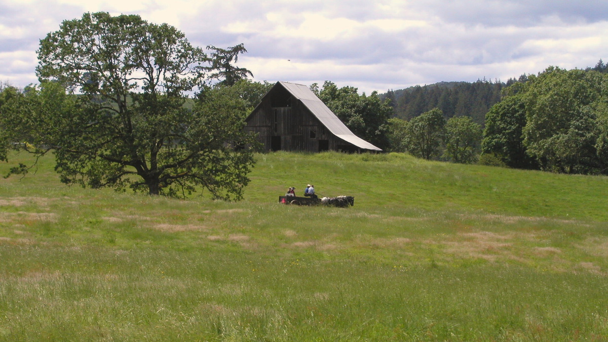 IN A LANDSCAPE Brings Outdoor Piano Concert to Mildred Kanipe Memorial Park Thursday