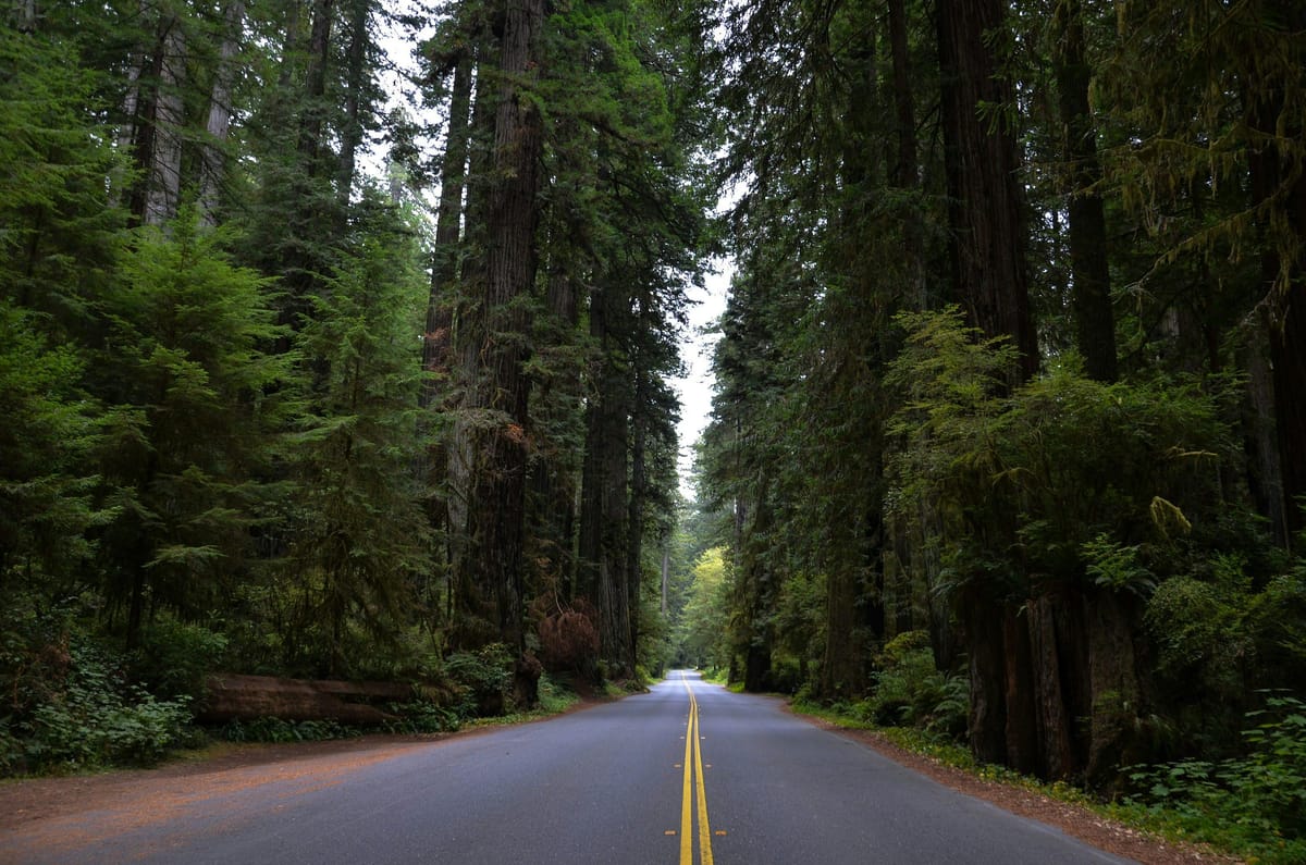 Forest Service Proposes Rescinding 2001 Roadless Rule; AFRC Backs Change