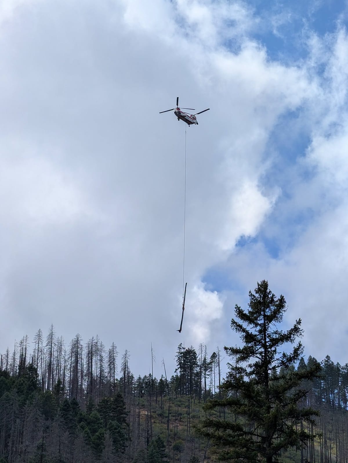 Helicopter Places Hundreds Of Logs To Restore Fish Habitat Near Tiller