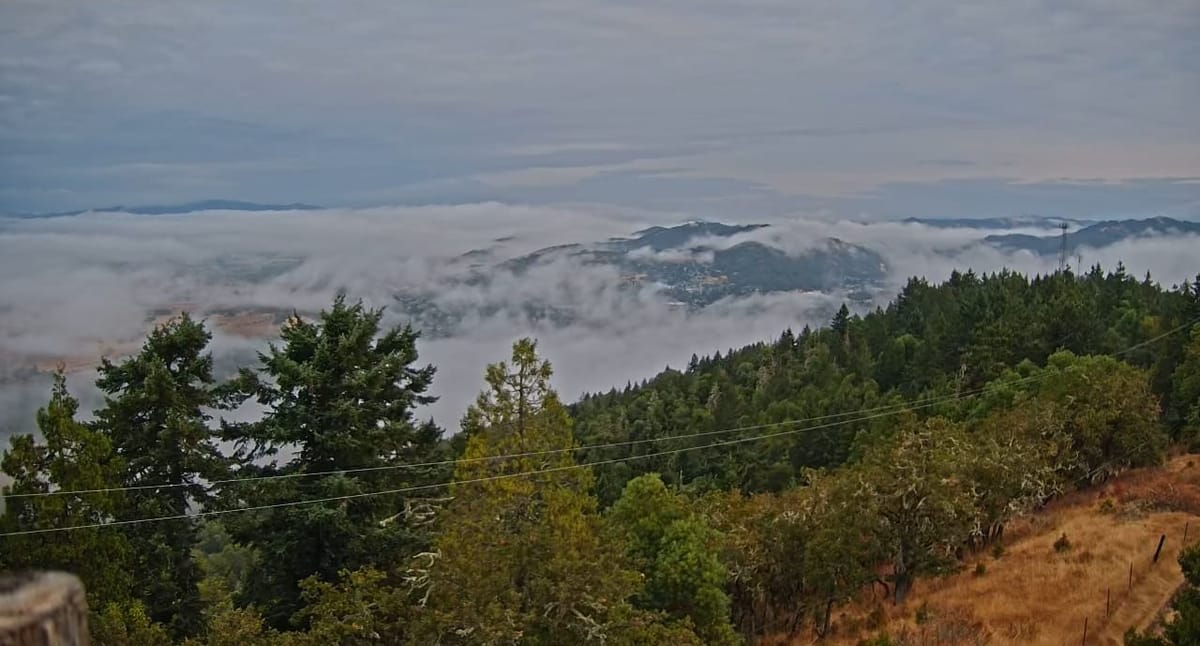 Roseburg Nearly Matches Entire June Rainfall Total in One Day