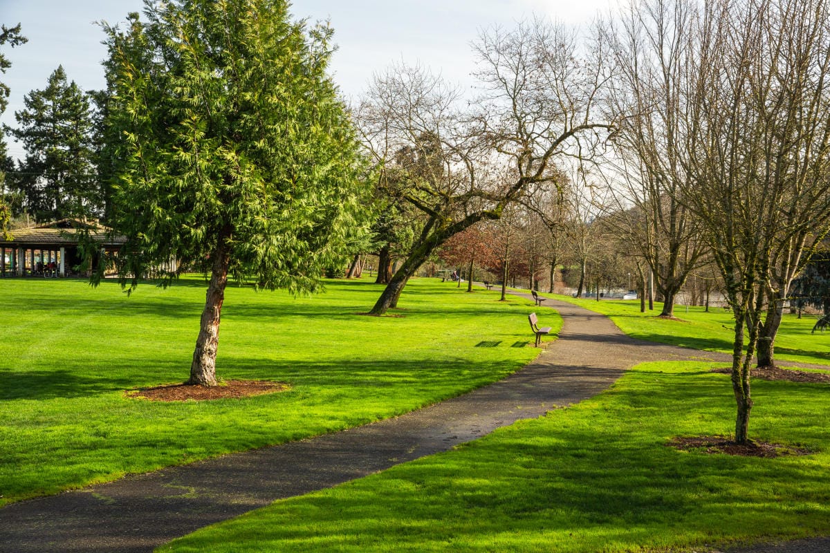 Roseburg Council Approves Expanded Stewart Park Master Plan Update