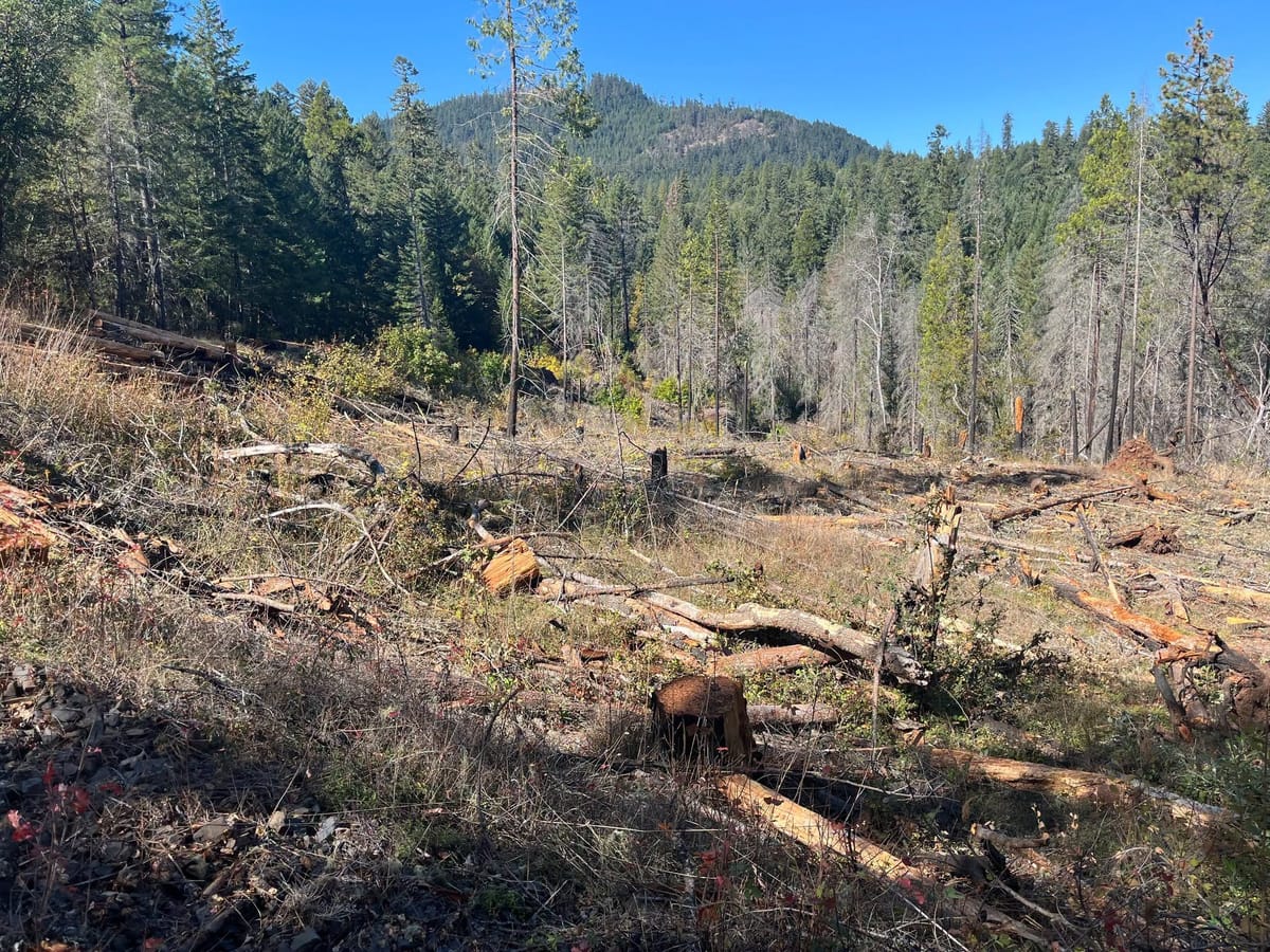 Umpqua National Forest Completes Hazard Tree Work to Improve Safety and Reduce Wildfire Fuels