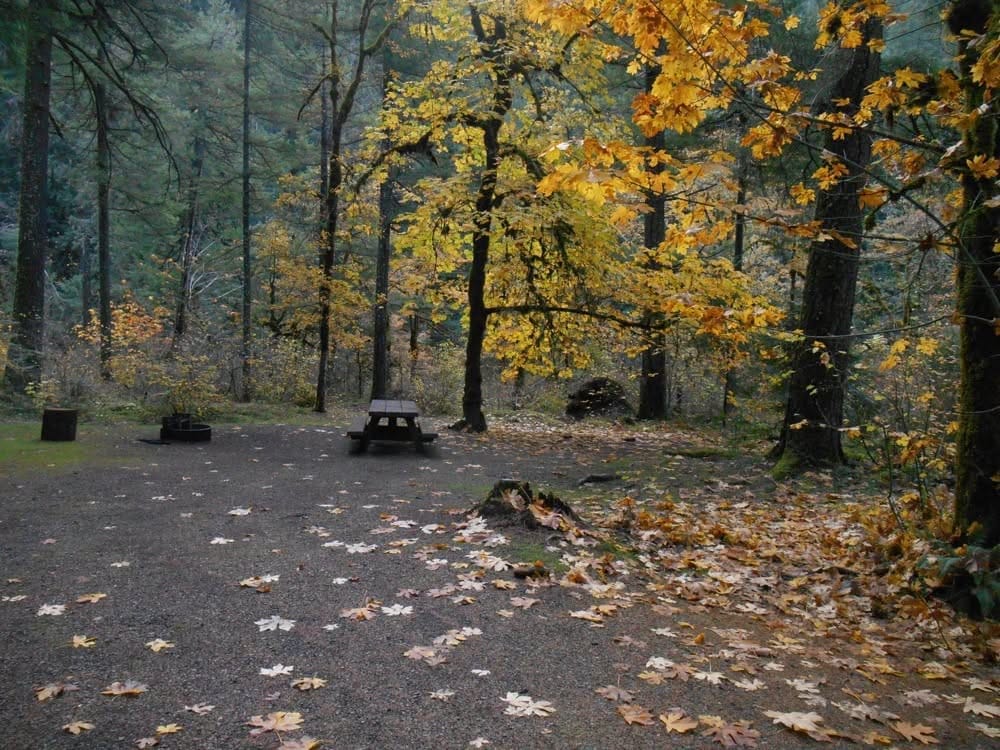 Umpqua National Forest Announces Winter Campground Closures, With Several Sites Remaining Open Year-Round