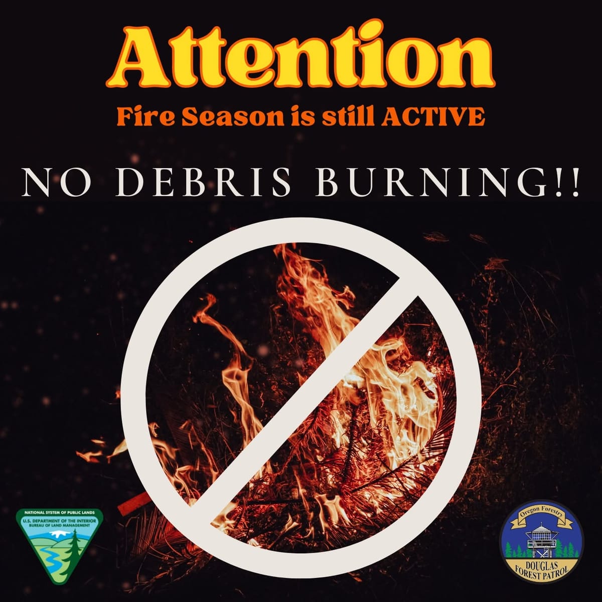 DFPA Responds To Two Weekend Fires As Fire Season Restrictions Continue