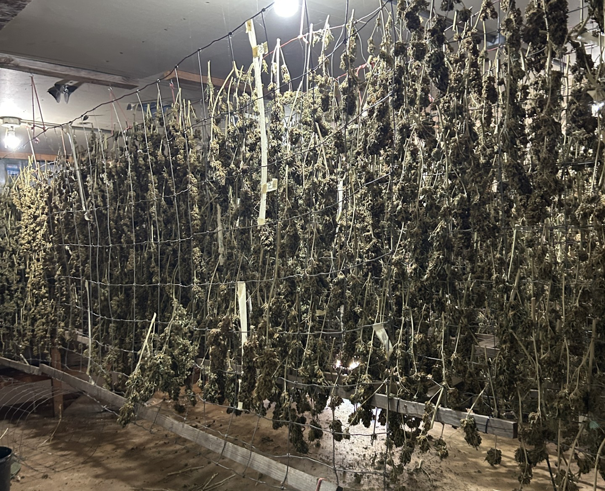 Glendale Marijuana Investigation Leads to Arrest at Douglas County Courthouse