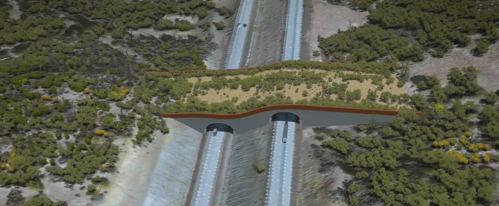 I-5: Siskiyou Wildlife Crossing Planning in the Works!