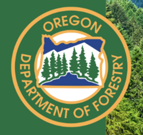 ODF Sends 26 Firefighters to North Carolina to Support Wildfire Response