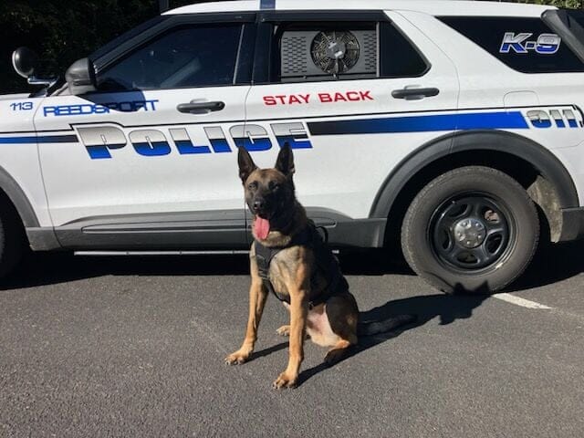 New Reedsport Police K9 Helps Lead to Methamphetamine Seizure