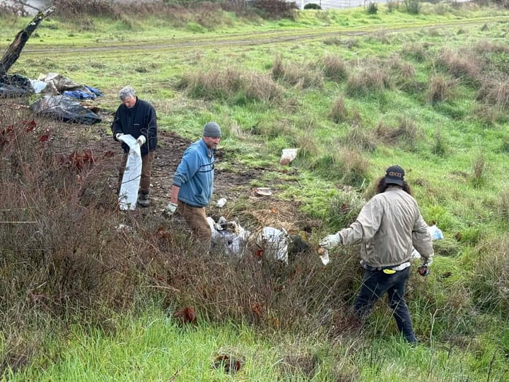 Three-Day Cleanup Restores Daly Property After Nuisance Notice
