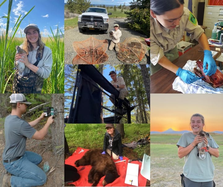 ODFW Opens Paid Wildlife Student Internships for Summer & Fall 2026