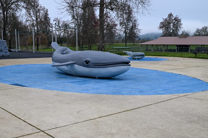 Community Effort Brings Beloved Park Icons Back to Life in Douglas County