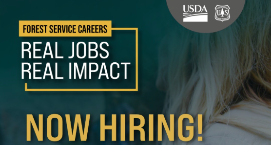 Umpqua National Forest preparing to hire seasonal workers for summer