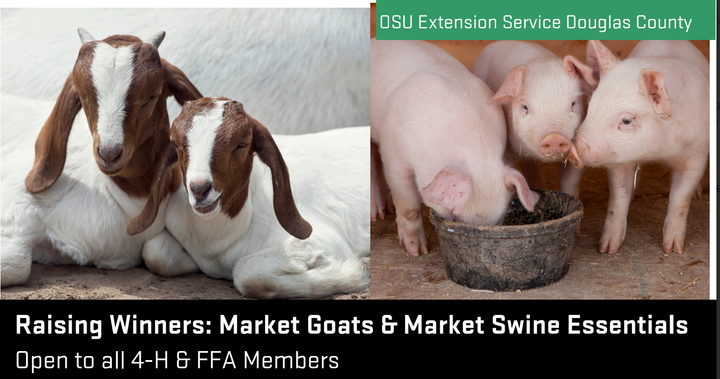 Douglas County 4-H, Farmers Co-Op to Host Market Goat & Swine Seminar