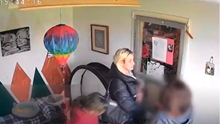 Kitten Returned After Theft From Winston Rescue, Woman Arrested