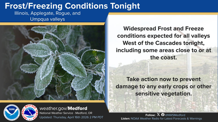 Frost Advisory Issued For Roseburg And Other Douglas, Coos County Valleys