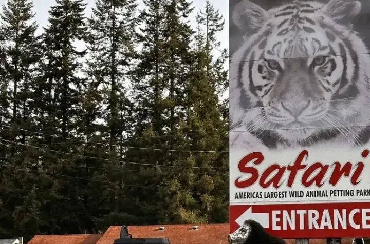 West Coast Game Park Safari Owner Pleads Guilty To Animal Neglect, Other Charges
