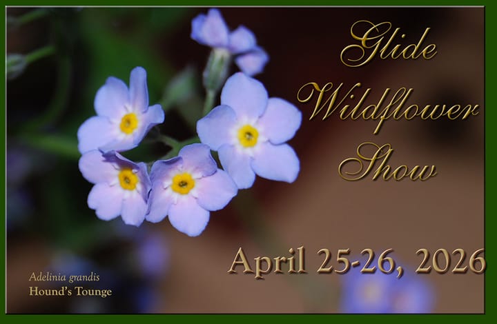 Glide Wildflower Show Returns April 25-26 With Native Plant Displays, Guided Walks and More