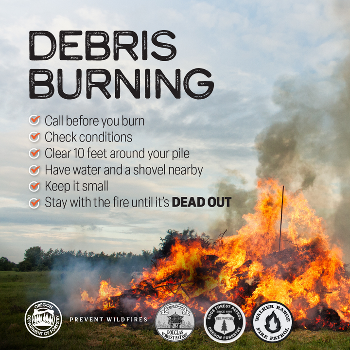 DFPA Urges Caution With Yard Debris Burning As Warmer Weather Arrives