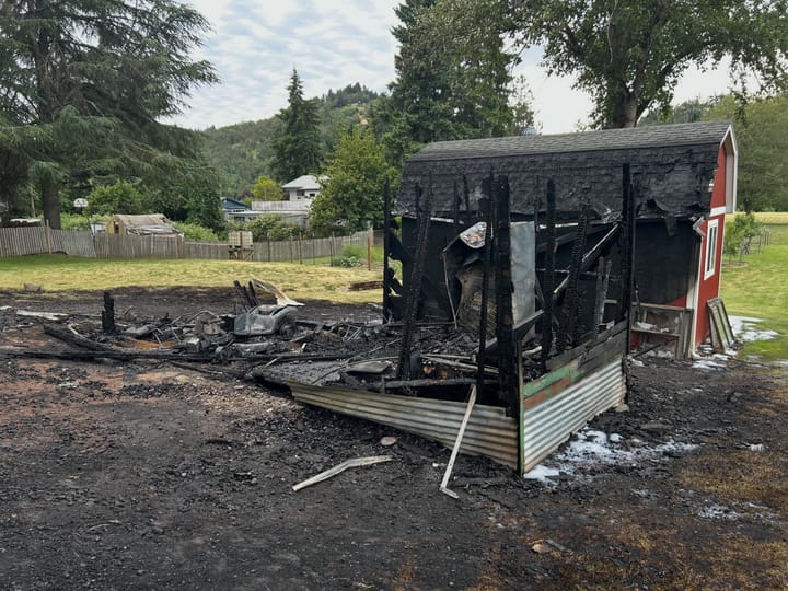 Crews Knock Down Harlan Street Shed Fire After Flames Spread To Nearby Tree