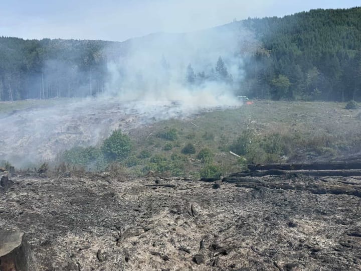 Shed Camp Fire Stopped Southeast Of Tiller As DFPA Urges Holiday Weekend Fire Safety