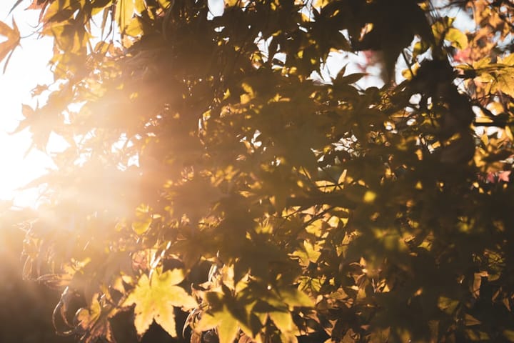 Warmer, Drier Weather Starts the Week in Southern Oregon