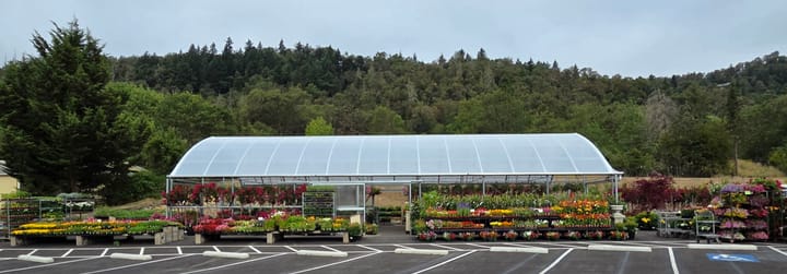 The Plant Warehouse Reopens at New Roseburg Location