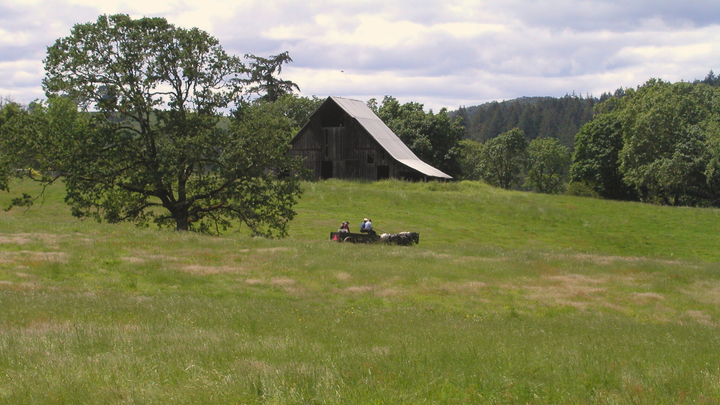 IN A LANDSCAPE Brings Outdoor Piano Concert to Mildred Kanipe Memorial Park Thursday