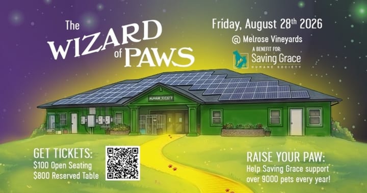 Follow the Yellow Brick Road to Saving Grace’s ‘Paws for a Cause’ Aug. 28