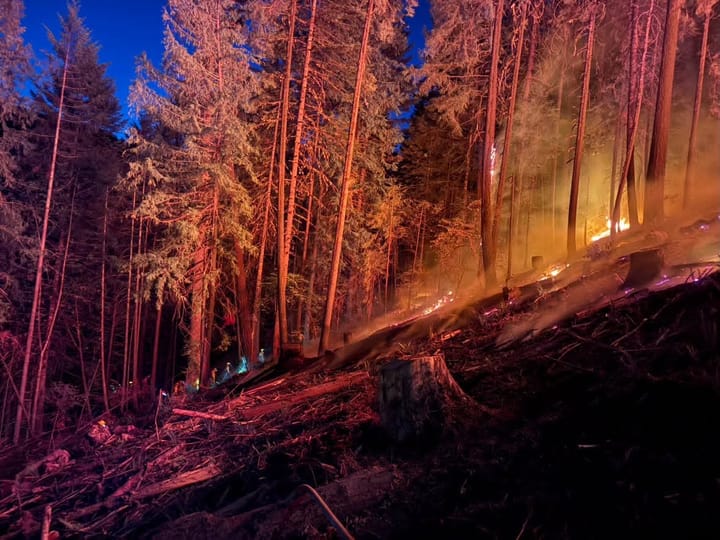 DFPA Responds to Two Fires in Douglas County Sunday