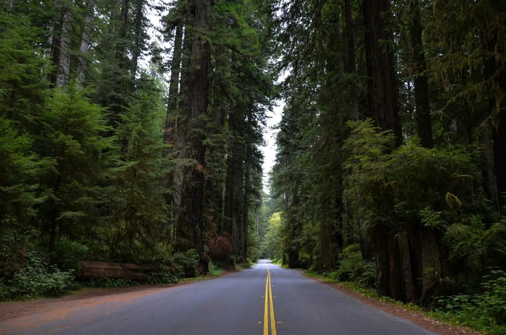 Forest Service Proposes Rescinding 2001 Roadless Rule; AFRC Backs Change