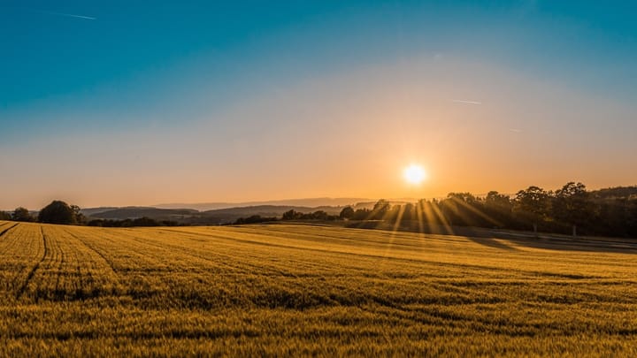 Roseburg Weekend Forecast Calls for Sunshine and Warmer Temperatures