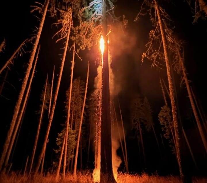 Firefighters Respond to Three Lightning-Caused Fires Near Tiller