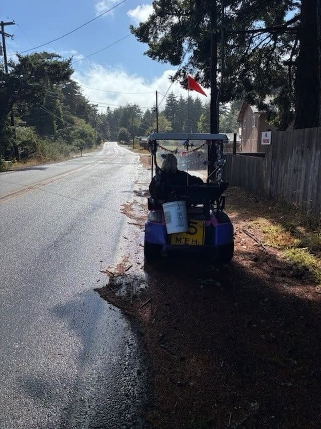 Woman Driving Golf Cart Arrested on Outstanding Warrant Near Barview