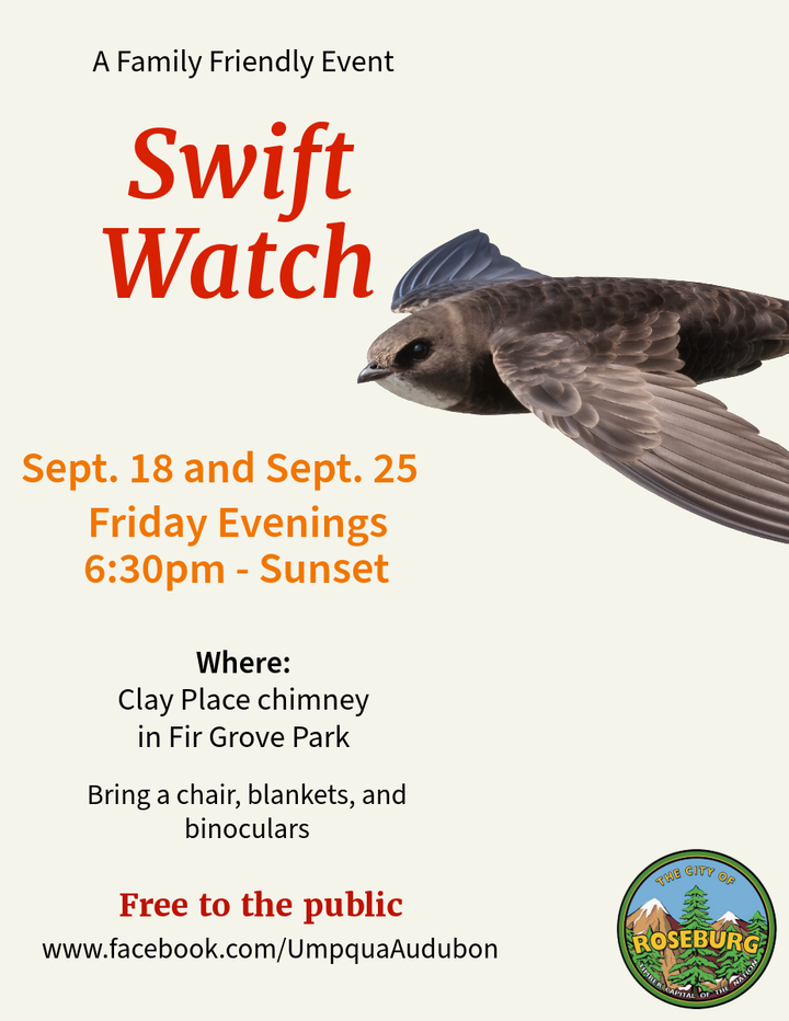 Roseburg Fall Swift Watch Returns for Two September Evenings