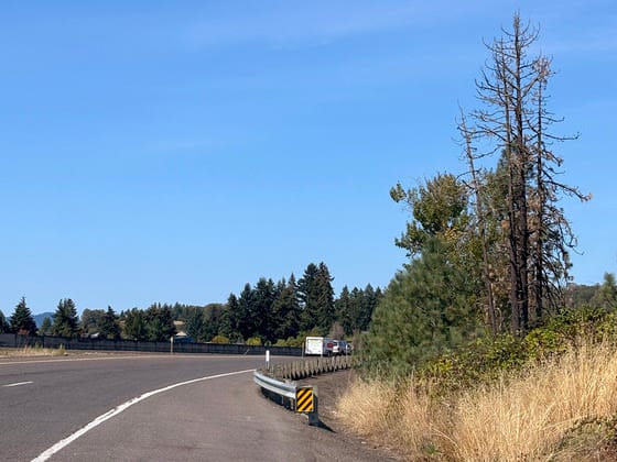 Tree Removal to Cause I-5 Delays Near Sutherlin and Oakland