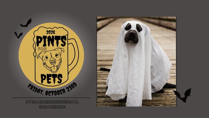 Saving Grace Humane Society To Host Pints For Pets Tonight At Backside Brewing In Roseburg