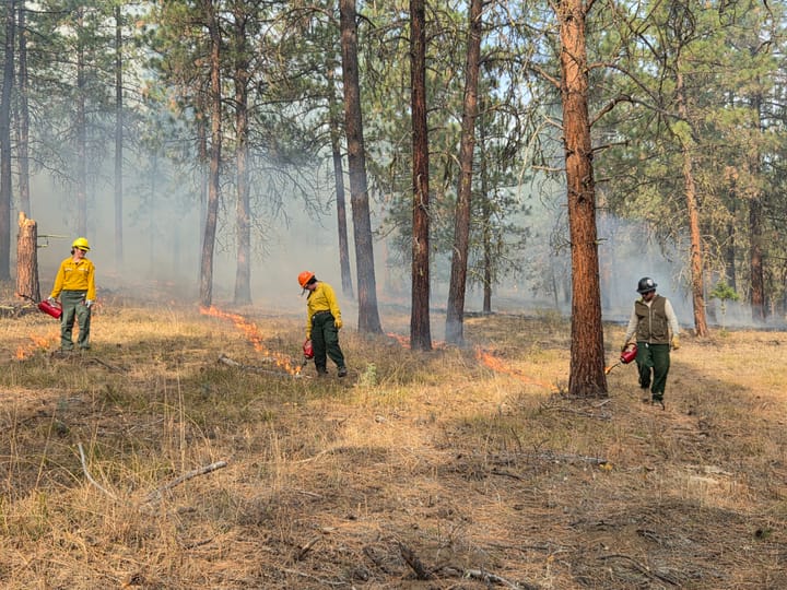 Douglas County Wildfire Project Receives $1.29 Million for Fuel Breaks